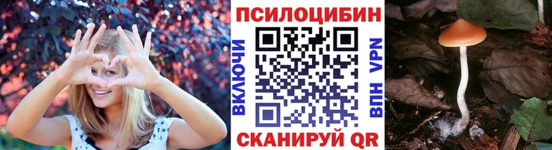 Псилоцибиновые грибы прущие грибы  Гдов 